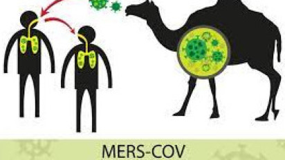 3 Kasus MERS-Cov Terkonfirmasi di Arab Saudi, Berikut Gejala yang Perlu Diwaspadai Jemaah Haji Indonesia Katanya Mirip Covid-19