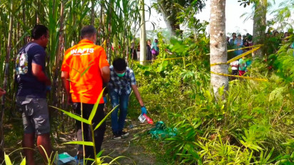 Heboh Penemuan Mayat Bayi Terbungkus Tas Sekolah di Kebun Tebu Lumajang