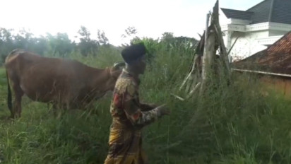 Kisah Kakek Taram, Penggembala Sapi asal Bangkalan Berusia 90 tahun yang Naik Haji Tahun Ini