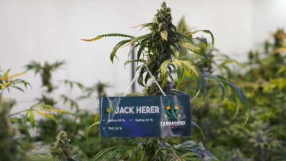 Polisi Bongkar Pabrik Ekstasi Jaringan Fredy Pratama di Bali