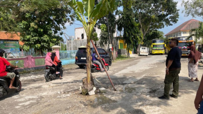 Akses Menuju Pesarean Syaichona Cholil Bangkalan Rusak, Warga Protes Jalan Ditanami Pohon Pisang