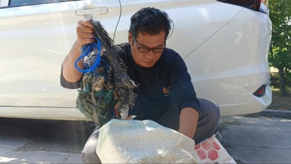 14 Saksi Ledakan Balon Udara Ditetapkan Menjadi Tersangka, Satu Diantaranya Oknum Perangkat Desa