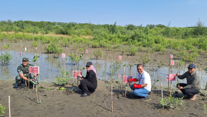 Aksi PNM Peduli Serahkan Sumur Bor Untuk Warga Indramayu Dan Tanam Mangrove Rhizophora