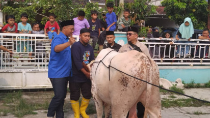 Warga Antusias Praktik Sembelih Hewan Qurban yang Halal