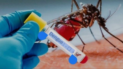 Cara Pemerintah Atasi Peningkatan Kasus DBD, Ternyata...
