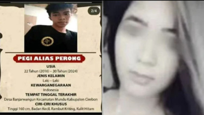 Pegi Alias Perong Pembunuh Vina yang Sudah Ditangkap Belum Tentu Otak Pembunuhan, Lantas Apa Perannya?