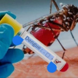 Waspada DBD: Begini Gejala Umum Demam Berdarah Dengue yang Sering Diabaikan