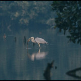5 Wisata Alam di Jakarta Cocok untuk Healing, Nikmati Liburan Tahun Baru 2026