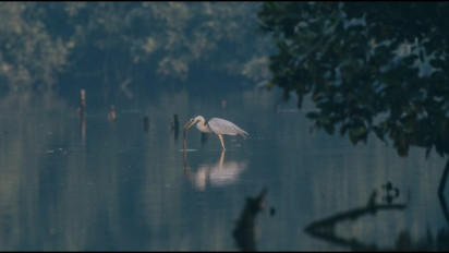 5 Wisata Alam di Jakarta Cocok untuk Healing, Nikmati Liburan Tahun Baru 2026