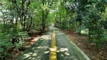 Hutan Kota Srengseng