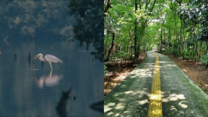 Adem dan Seger, Ini 5 Rekomendasi Wisata Alam di Jakarta yang Cocok untuk Healing, Dikunjungi Bersama Keluarga, Teman maupun Pacar