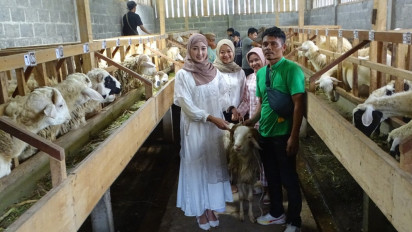 Peternak Kambing Kurban di Wonosobo Pakai Jasa SPG Cantik untuk Gaet Pembeli