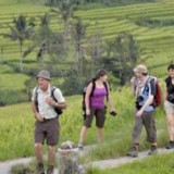 Sebelum Closing Ceremony, World Water Forum ke-10 Bahas Dampak Perubahan Iklim pada Pertanian