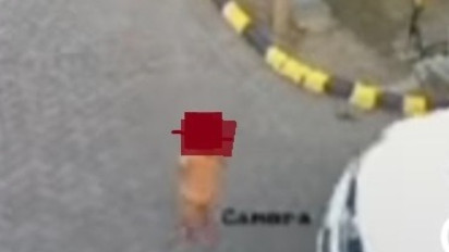 Mengerikan, Balita di Sidoarjo Tewas Terlindas Mobil Fortuner Tetangga