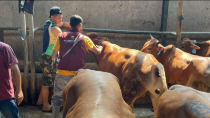 Pedagang Dilarang Jajakan Hewan Kurban di Pinggir Jalan
