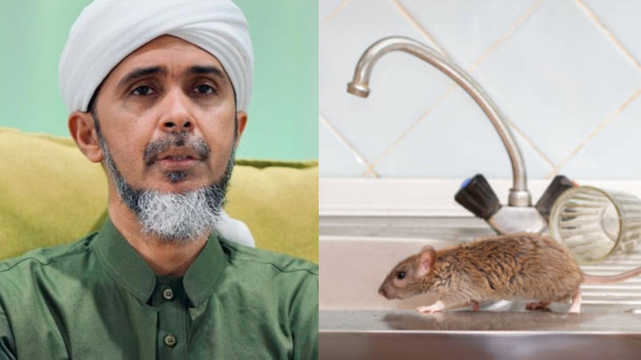 Ternyata Bukan Hanya Cicak, Banyak Tikus di Rumah Ternyata Pertanda Buruk, Habib Ali Zaenal Al Hamid Bilang Hati-hati Bisa...
            - galeri foto