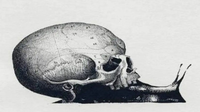 Tes Kepribadian: Gambar Pertama yang Kamu Lihat Siput atau Tengkorak? Jika Siput yang Pertama Terlihat, Maka Kamu Orangnya...