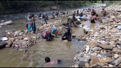 Heboh, Puluhan Warga Berbondong-bondong Mendulang Emas di Sungai Ulunggolaka Kolaka