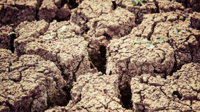 Ribuan Pompa Air Disiapkan untuk Hadapi Musim Kemarau, DKPP Bantul Berharap Pengairan Irigasi Sawah Padi Tetap Terjaga