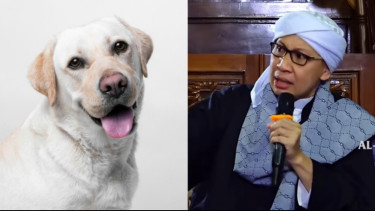 Mulai Sekarang Jangan Tinggalkan Istighfar jika Terkena Najis Anjing, Buya Yahya Bilang itu Tanda-tanda Harus...
