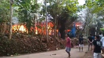 Kandang Peternakan Ayam di Bantul Terbakar, Ribuan Ayam Mati Terpanggang, Kerugian Capai Rp 350 Juta