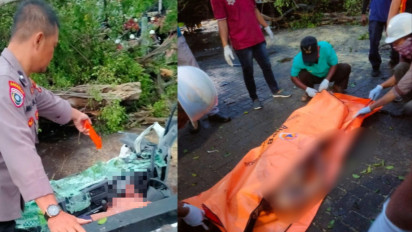 Tertimpa Pohon Tumbang, Sopir Truk Trailer di Gresik Meninggal Dunia