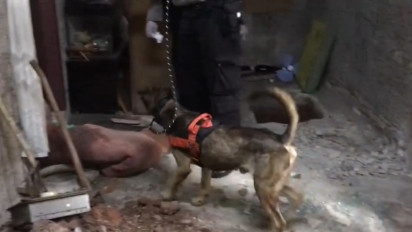 Polisi Terjunkan Anjing Pelacak, Cari Korban Lain di Rumah Kakek DS Tersangka Pembunuhan Bocah Perempuan di Bekasi