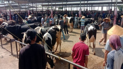 Jelang Iduladha, Harga Ternak Kurban di Pasar Jelok Cepogo Boyolali Melonjak Naik