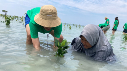 Peringati Hari Lingkungan Hidup Sedunia, Hikvision Tanam 1.000 Bibit Mangrove di Pulau Pari