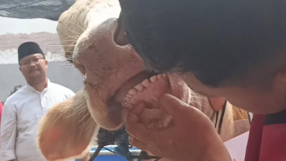 RPH Surabaya Skrining Hewan Kurban, Pastikan Sehat dan Layak Konsumsi