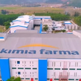 Kimia Farma Manfaatkan Teknologi "Stem Cell", Pilihan Terapi untuk Pengapuran Sendi dan Penyakit Saraf