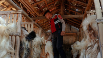 Cegah Pencurian Ternak Jelang Iduladha, Petugas Gabungan di Pemalang Gelar Patroli ke Lapak Hewan Kurban