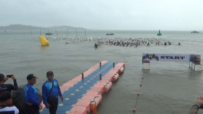 Dibuka oleh KASAL, 381 Peserta Ikuti Navy Swimming Competition di Tanjungpinang