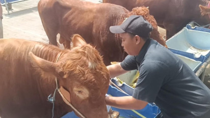 Juleha Jatim Bagikan Tips Metode Pemotongan Hewan Kurban yang Halal dan Sehat Layak Konsumsi