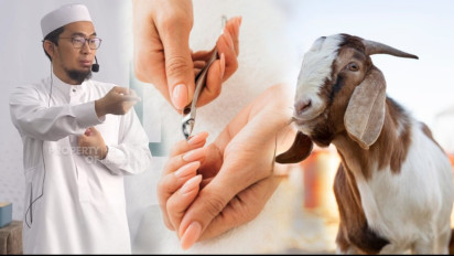 Tak Potong Kuku dan Rambut Sebelum Hewan Kurban Disembelih Setara Pahala Wukuf Haji, Memangnya Benar? Kata Ustaz Adi Hidayat...