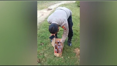 Polisi di Muna Temukan Bayi Perempuan Dalam Kardus Mie Instan, Diduga Sengaja Dibuang Orang Tuanya