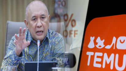Lebih Bahaya dari TikTok, E-Commerce Baru Asal China Bikin Pemerintah Indonesia Ketar-Ketir: Mengancam Bisnis UKM