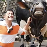 Kronologi Irfan Hakim "Terseret" Kasus Denada dan Ressa Rizky Rossano