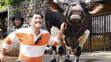 Kronologi Irfan Hakim "Terseret" Kasus Denada dan Ressa Rizky Rossano