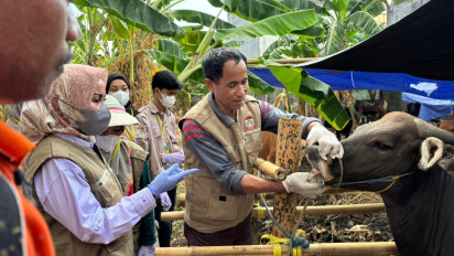 Jelang Idul Adha, Pemeriksaan Kesehatan Hewan Kurban di Makassar Digencarkan