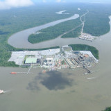 130 Spesies Baru Ditemukan, Freeport Soroti Pentingnya Data untuk Jaga Ekosistem di Papua