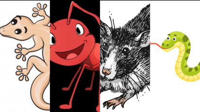 Jangan Salah Lagi, Ternyata Binatang Ini Boleh dan Dilarang Dibunuh dalam Islam Salah Satunya Ada di Tanah Suci