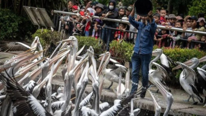 Incar Lonjakan Pengunjung, Taman Margasatwa Ragunan Tetap Buka dan Layani Pengunjung  Saat Hari Raya Idul Adha