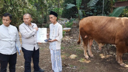 Ponpes Raudlatul Maarif Boyolali Dapat Bantuan Sapi Kurban Presiden Jokowi dengan Bobot 845 Kilogram
