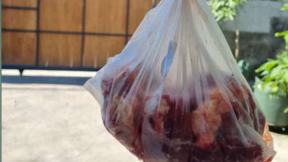 Waduh! Tim Kesehatan Hewan Kurban di Kota Mataram Temukan Kasus Cacing Hati di Lima Ekor Sapi, Begini Penangannya