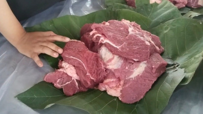 Dibungkus Daun Jati, Distribusi Daging Kurban di Blora Ramah Lingkungan