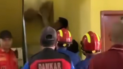 Viral Sapi Kurban Acak-Acak Kantor Desa di Bekasi, Damkar Sampai Turun Tangan