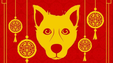 Ramalan Shio Anjing Setelah Imlek 2026: Peluang Karier, Keuangan, Cinta