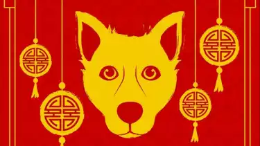 Ramalan Shio Anjing Setelah Imlek 2026: Peluang Karier, Keuangan, Cinta