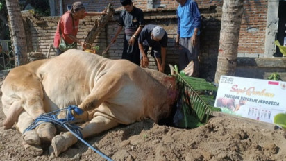 625 Kepala Keluarga di Lombok Tengah Terima Daging Kurban dari Presiden Jokowi
